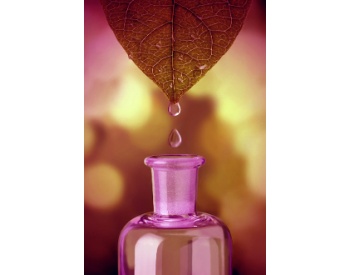 1422062657039-654257882